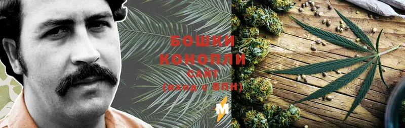 Канабис LSD WEED  где купить наркоту  Инсар 